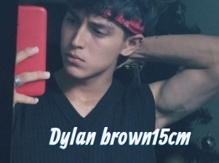 Dylan_brown15cm