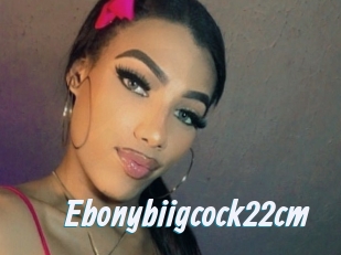 Ebonybiigcock22cm