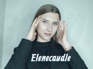 Elenecaudle