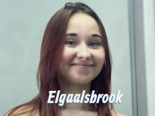 Elgaalsbrook