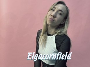 Elgacornfield