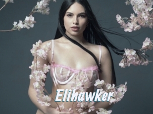 Elihawker