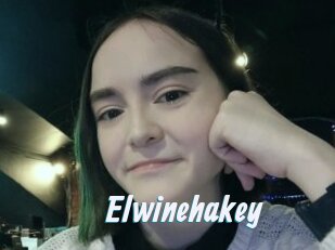 Elwinehakey