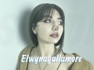 Elwynagallamore