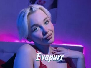 Evapurr