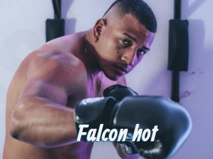 Falcon_hot