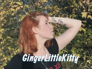 GingerLittleKitty