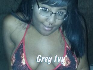 Grey_Ivy