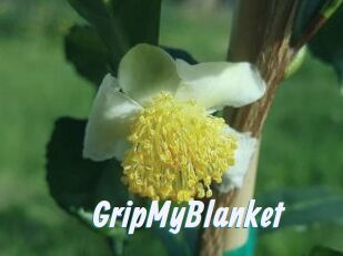 GripMyBlanket