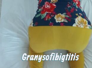 Granysofibigtitis