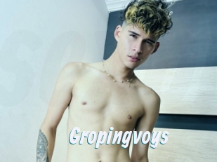 Gropingvoys