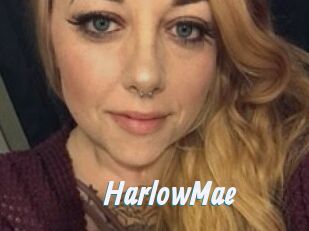 HarlowMae