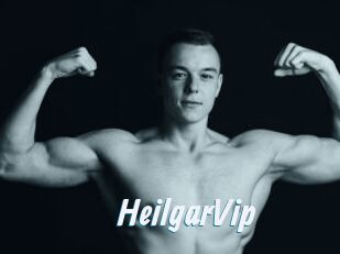 HeilgarVip