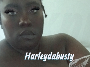 Harleydabusty