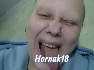 Hornak18