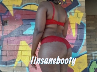 Iinsanebooty