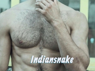 Indiansnake