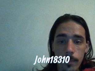 John18310