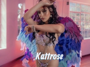 Kattrose