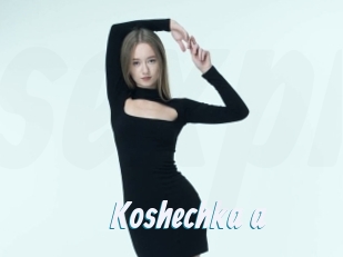 Koshechka_a