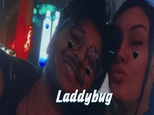 Laddybug