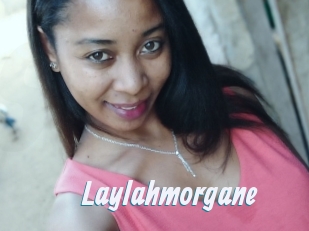 Laylahmorgane