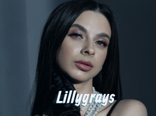 Lillygrays