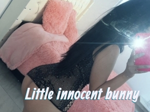 Little_innocent_bunny