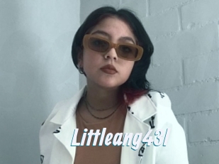 Littleang43l