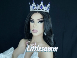 Littlesamm