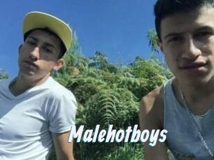 Malehotboys