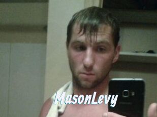 Mason_Levy