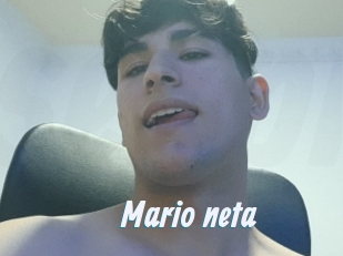 Mario_neta