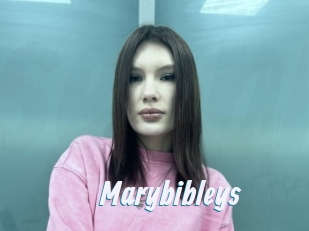 Marybibleys