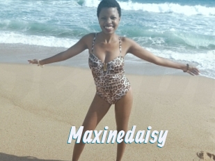 Maxinedaisy