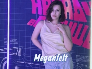 Meganfelt