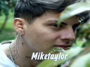 Miketaylor