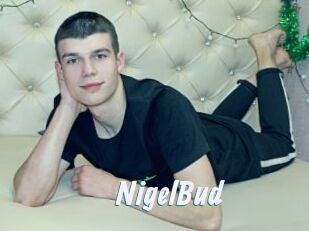 NigelBud