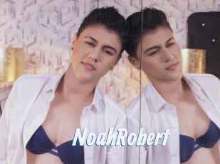 NoahRobert