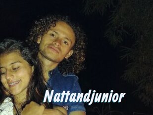 Nattandjunior