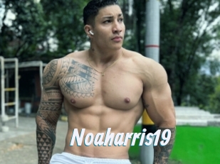 Noaharris19