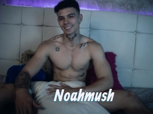 Noahmush