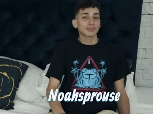 Noahsprouse