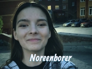 Noreenborer