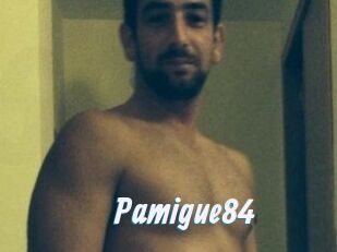 Pamigue84