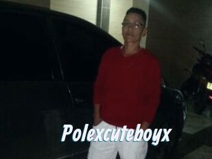 Polexcuteboyx