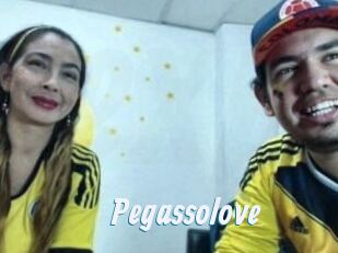 Pegasso_love