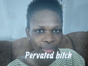 Pervated_bitch