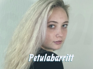 Petulabarritt