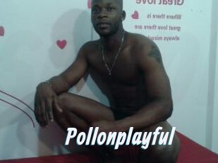 Pollonplayful